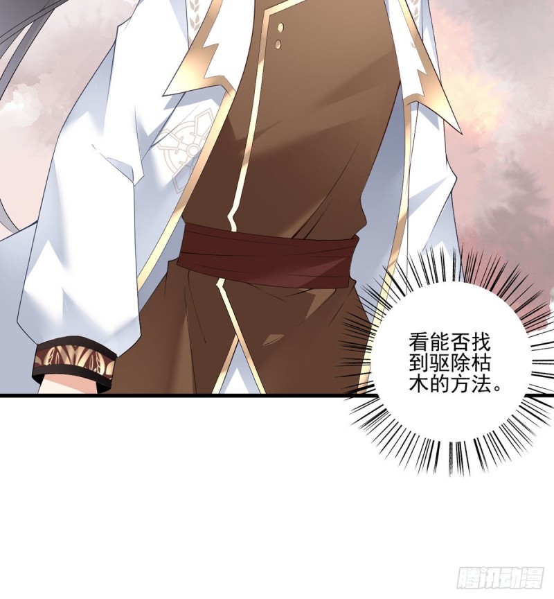 211.机会只有一次3