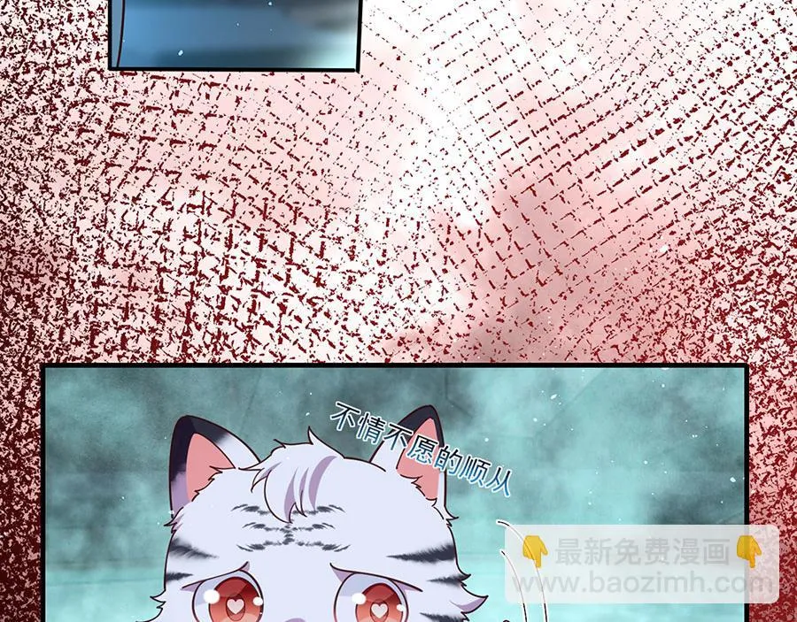 第441话 被抓包的小白猫108