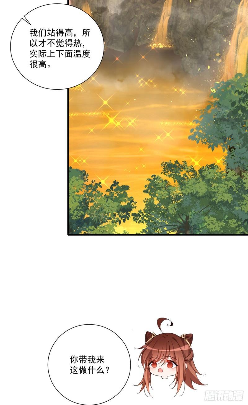 第372话 师父，生辰快乐！13