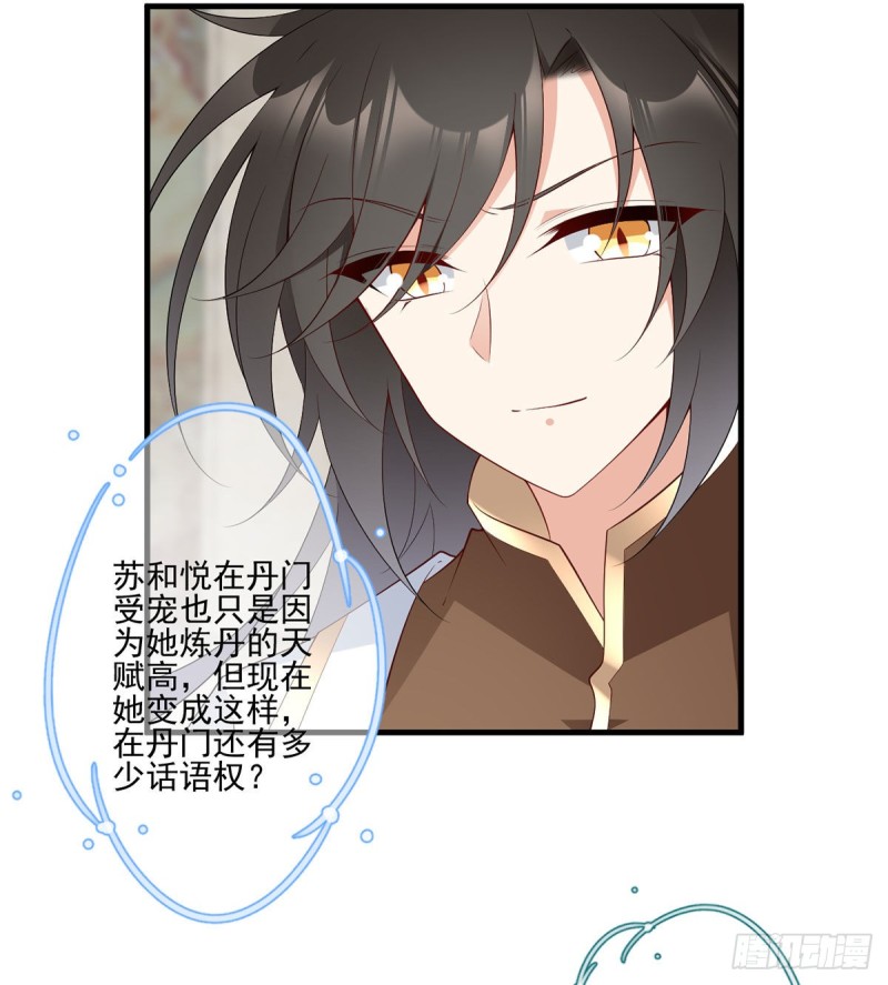 204.高调的自保8