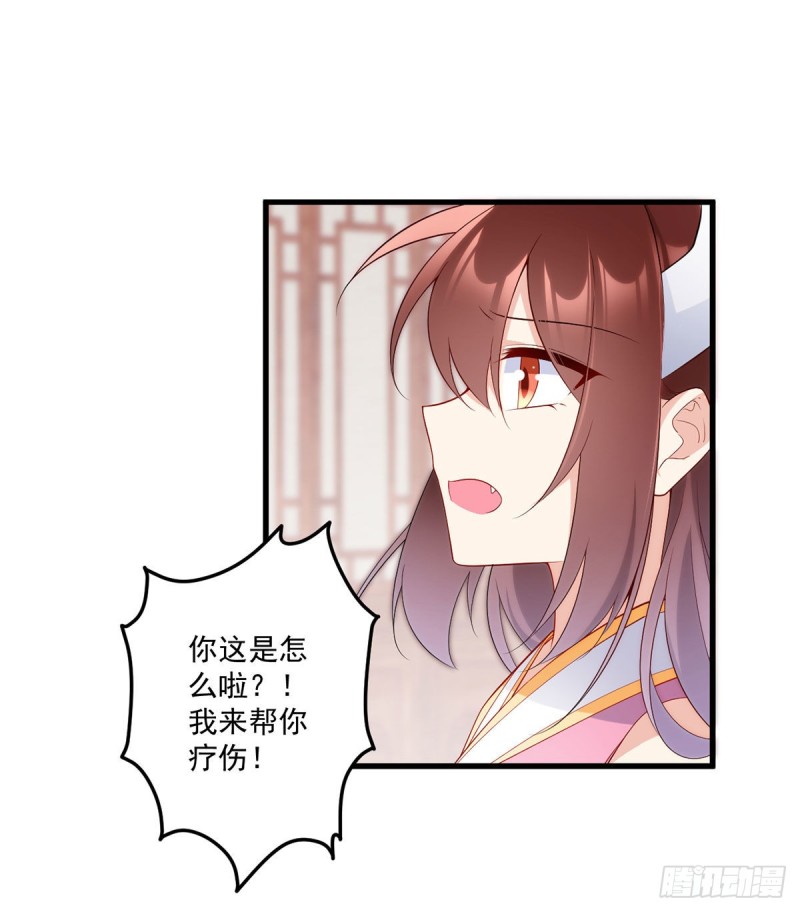 241.徒弟受伤了？！19