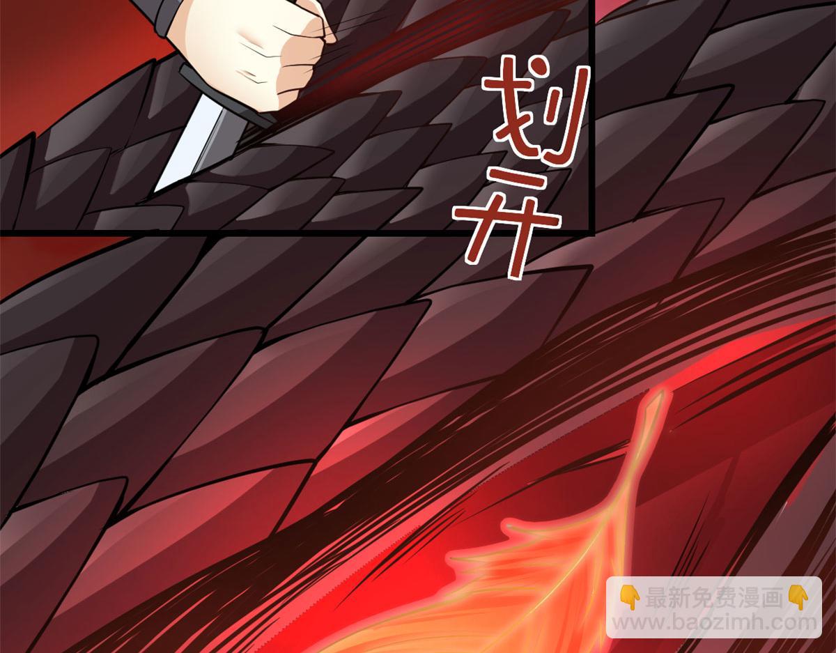 248 让我炒个肉！28