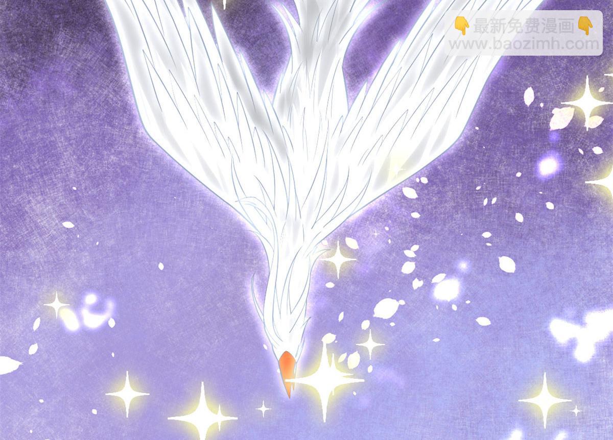 254 神主爱装逼12