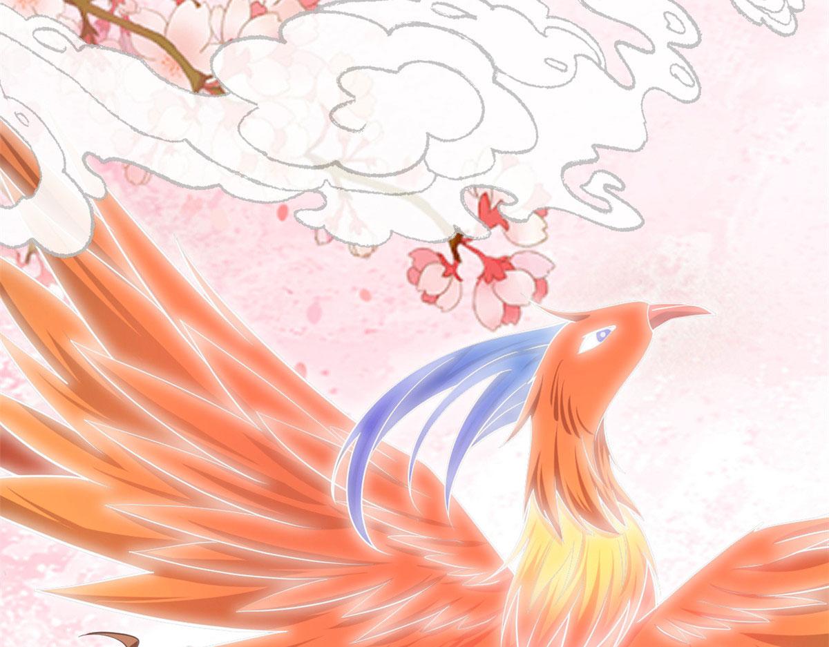 244 成了厨神43