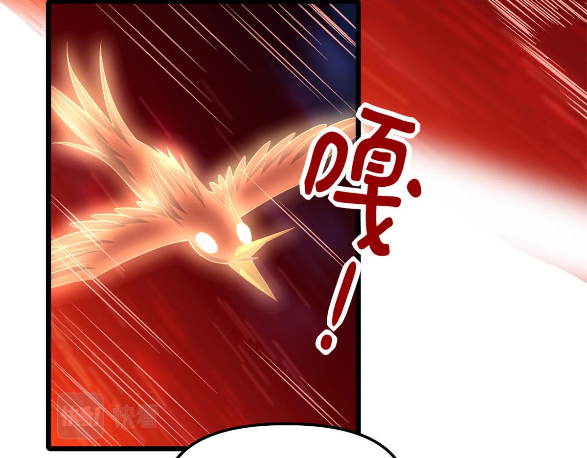 250 运气特别好5