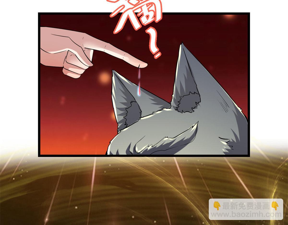252 投不投降54