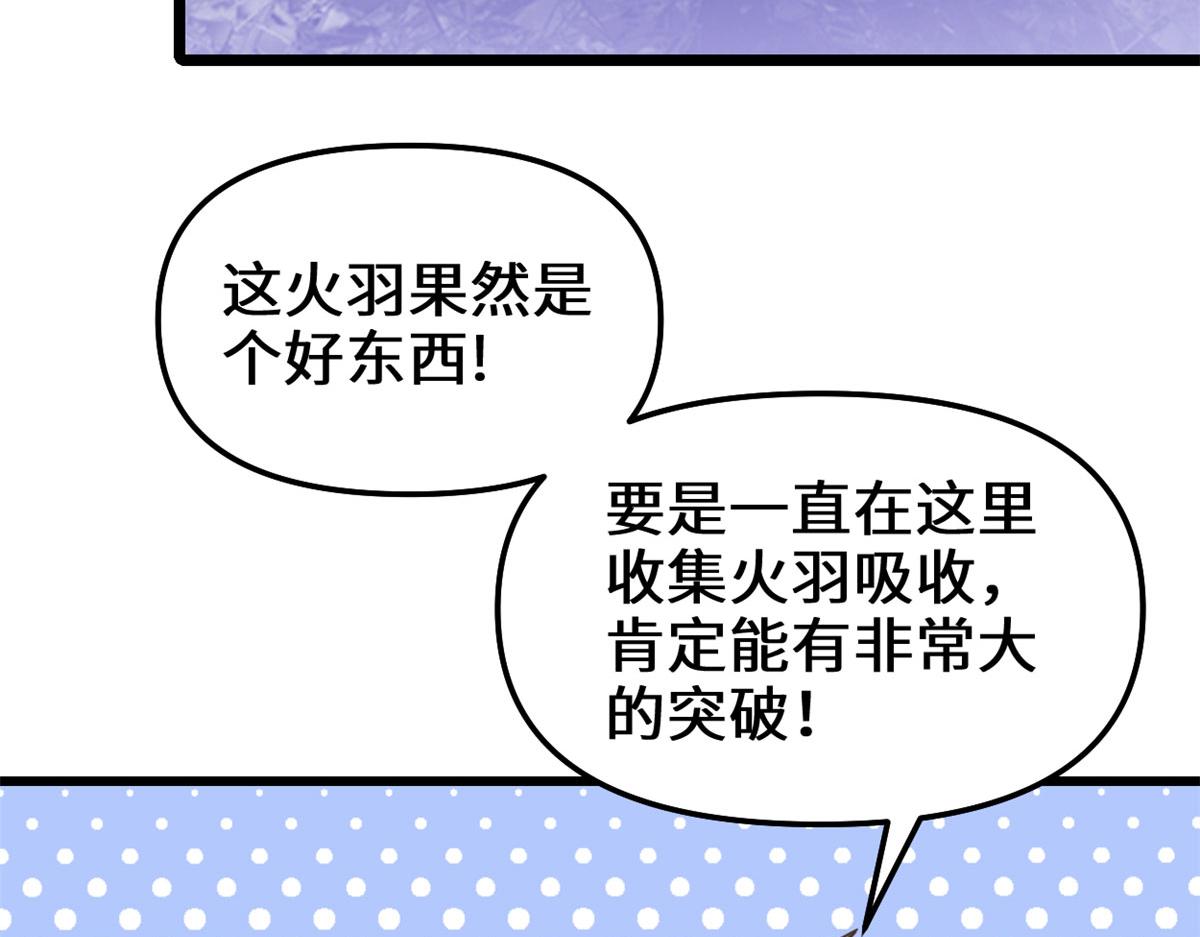 248 让我炒个肉！37