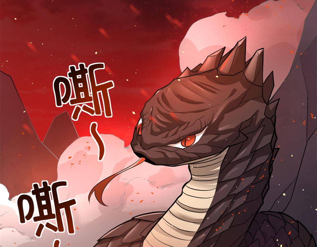 248 让我炒个肉！4