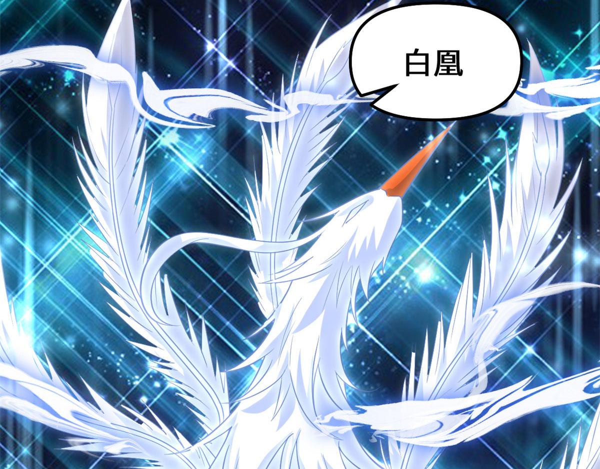 256 跟我装逼？！31