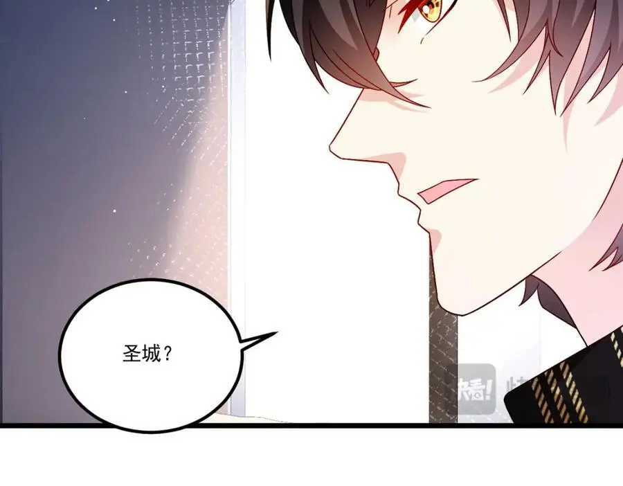 247.识相的参议院55