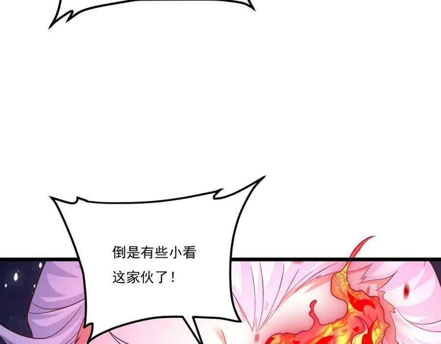 215.神环领域62