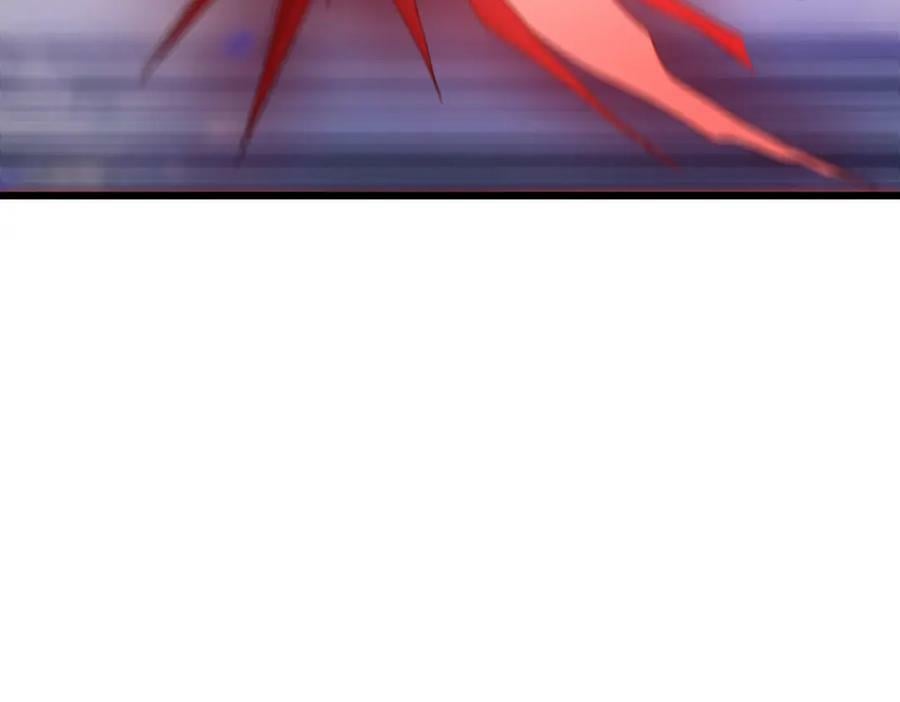 215.神环领域115