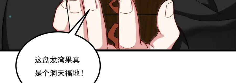 223.奴托攻入，盘龙湾危！97