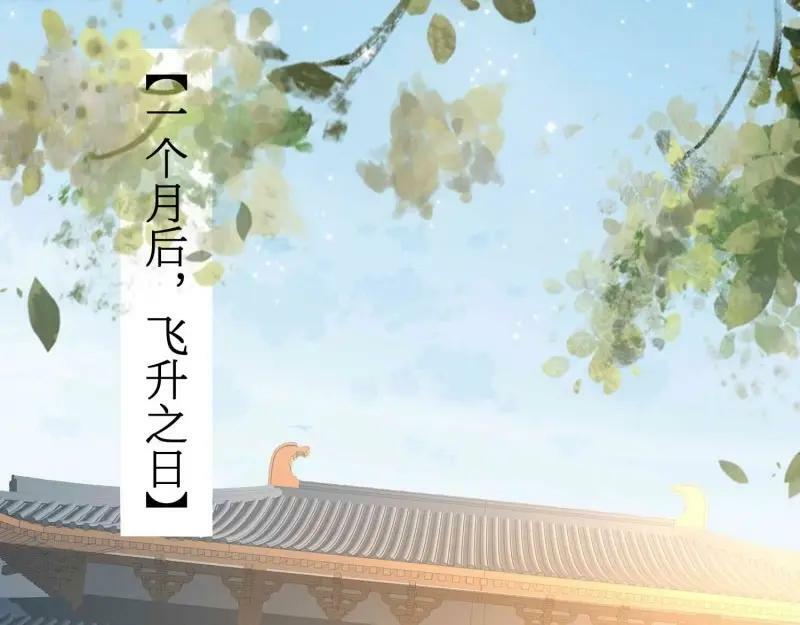 第226话 224 准备飞升46