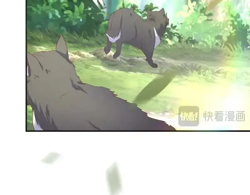 第242话 240 蛋蛋的天赋62