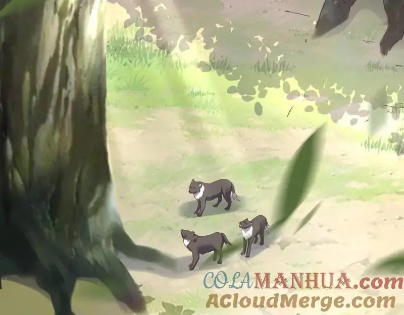 第242话 240 蛋蛋的天赋36