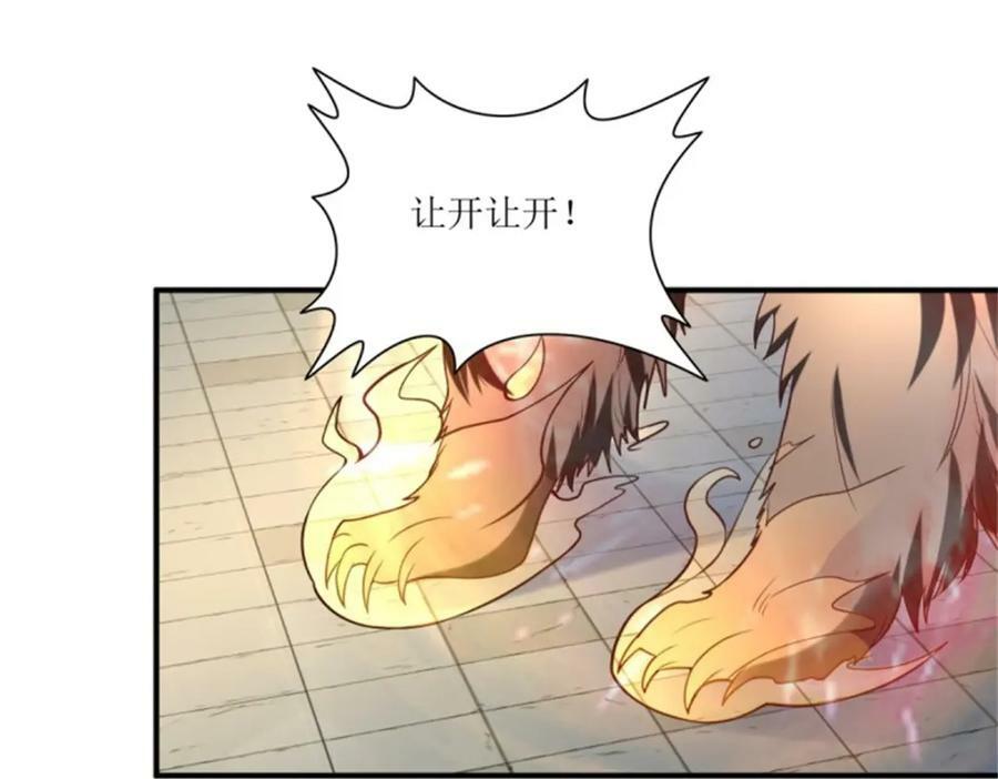 217 飞升大陆78