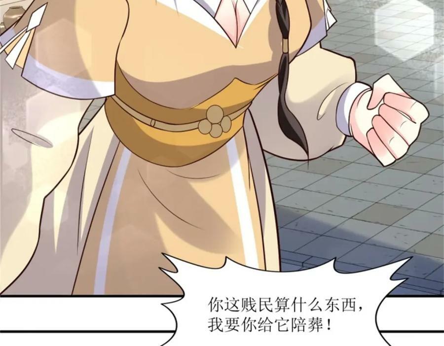 217 飞升大陆103