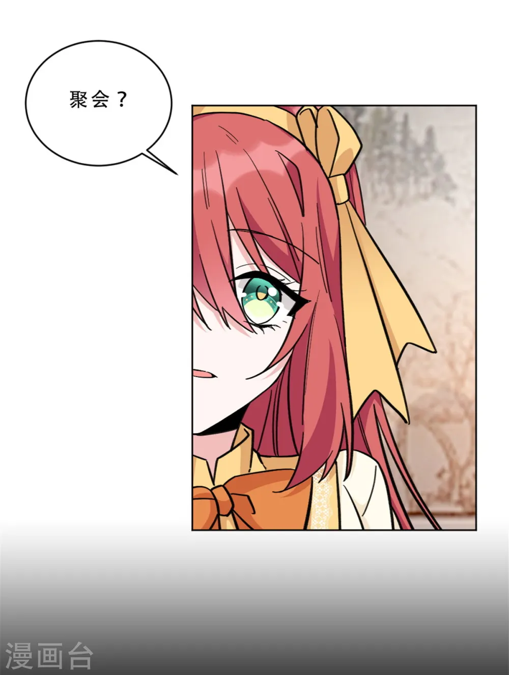 第14话 姬少生日宴1