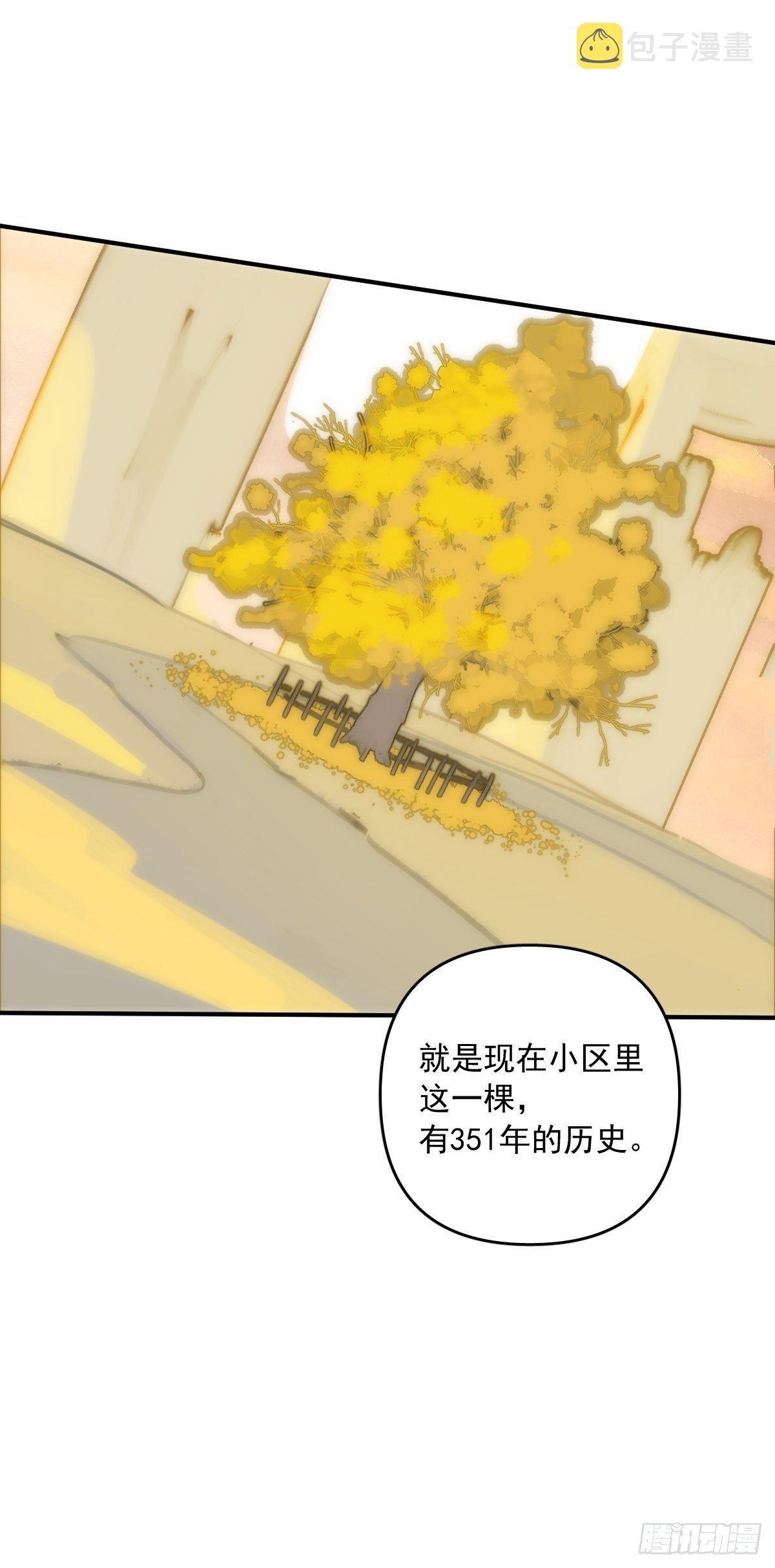 第23话 杏林村21