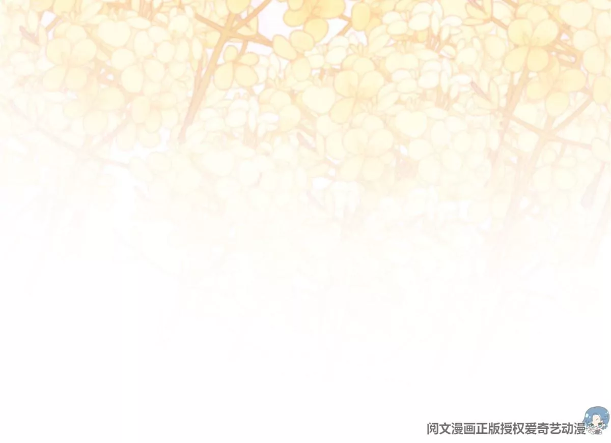039 我的唯一40