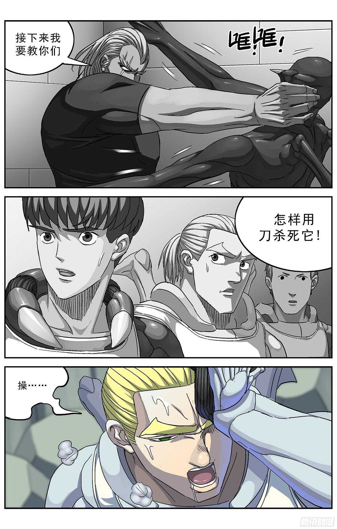 256专家3