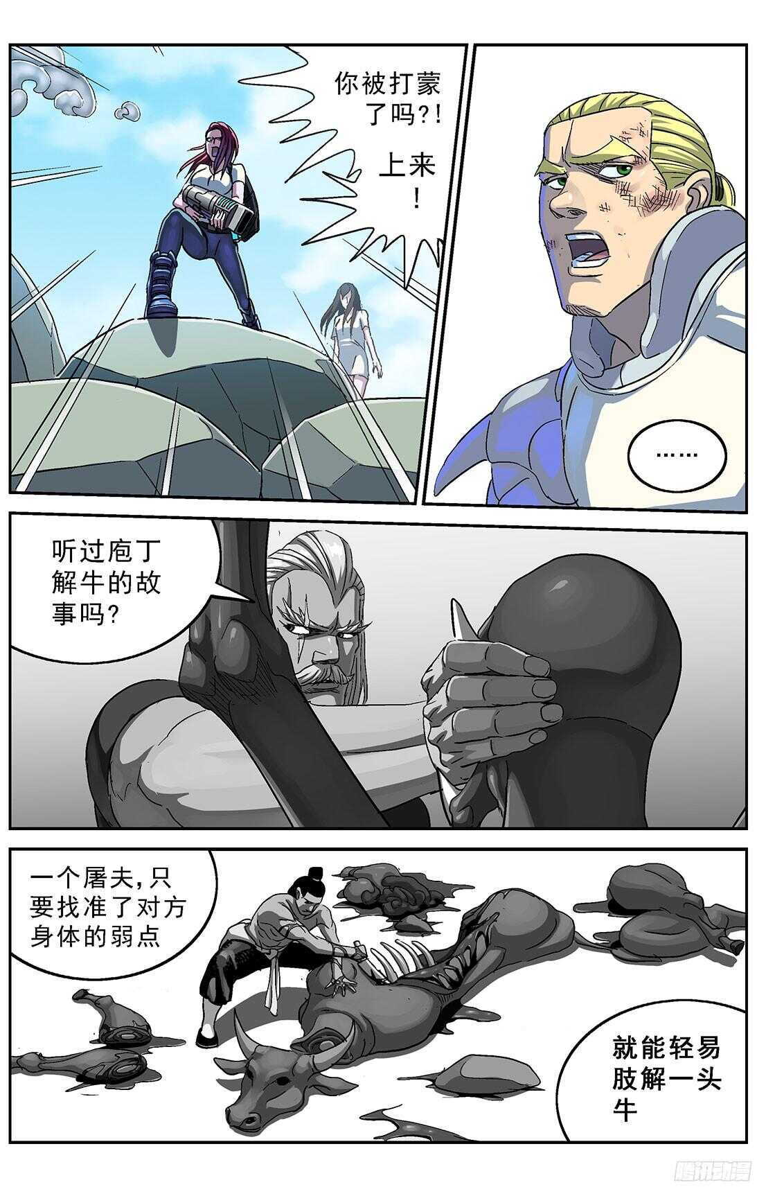 256专家5