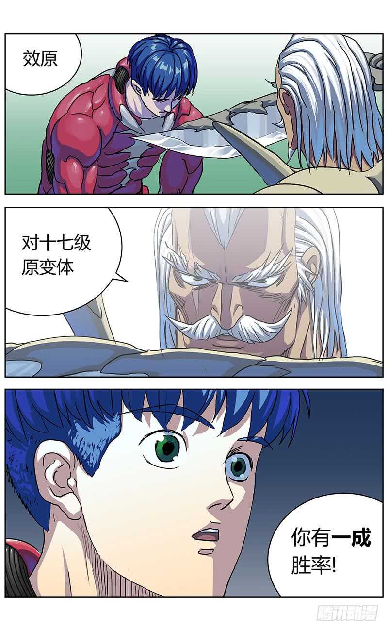 316诱饵4