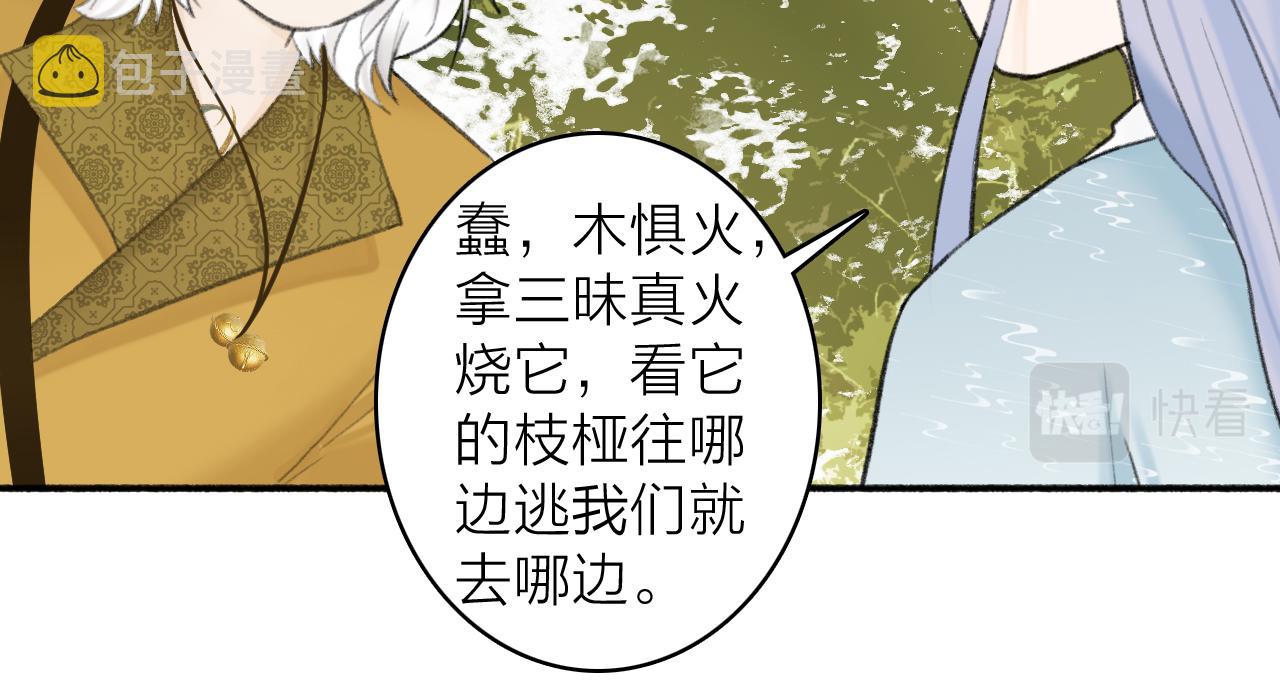 第40话 原地飞升23
