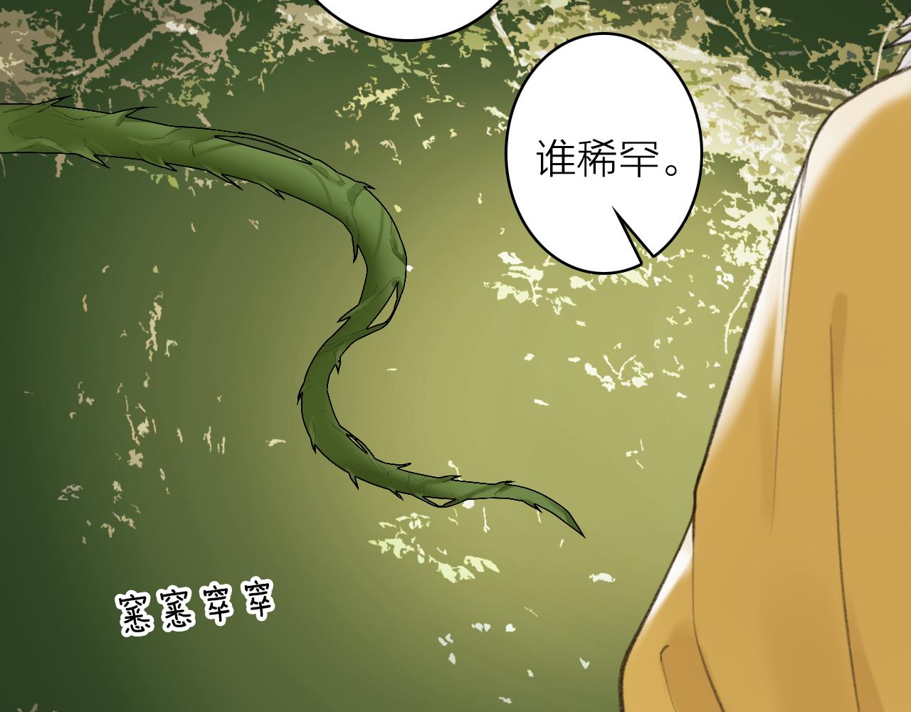 第40话 原地飞升1