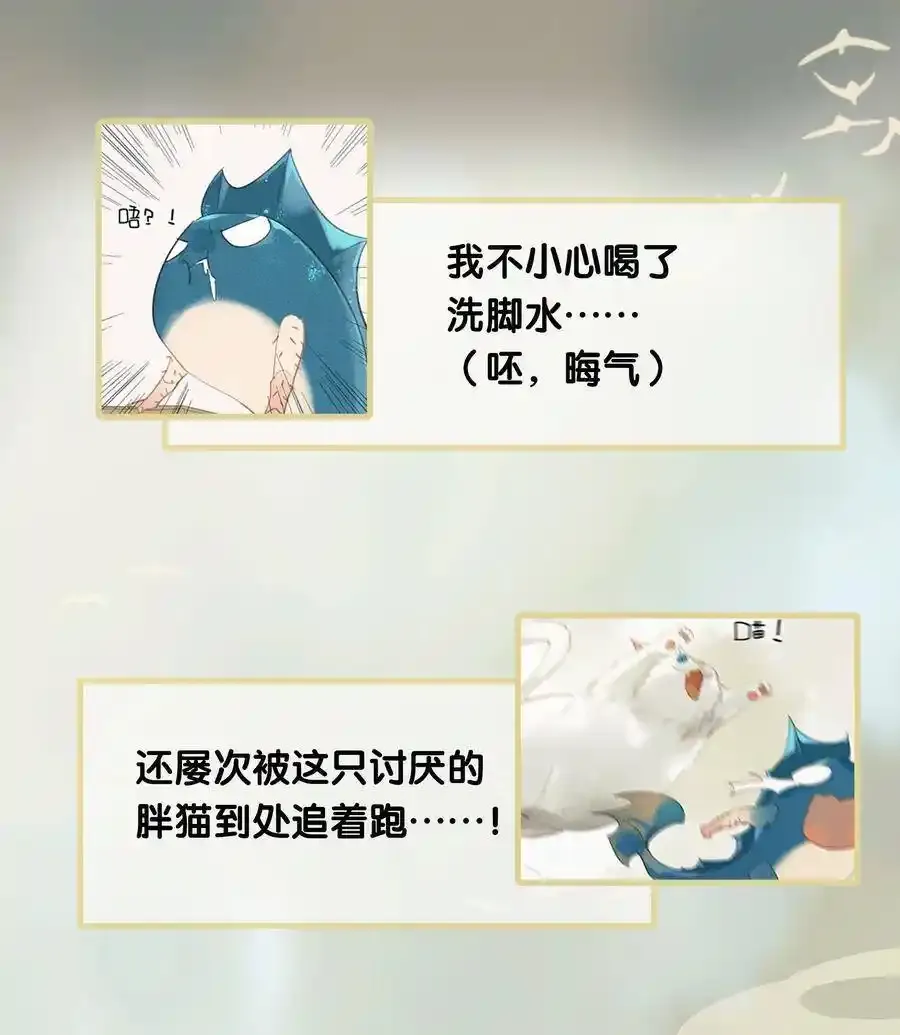 17 榻下干尸——救命啊！猫跑了？23