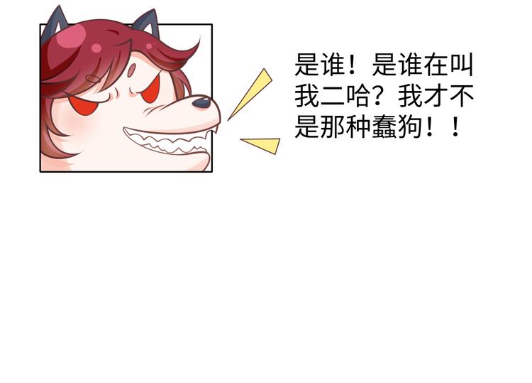19.无耻小贼哪里跑？！115