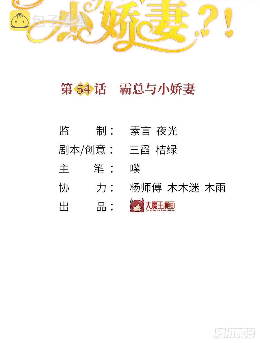 54.霸总与小娇妻·第一季完结1