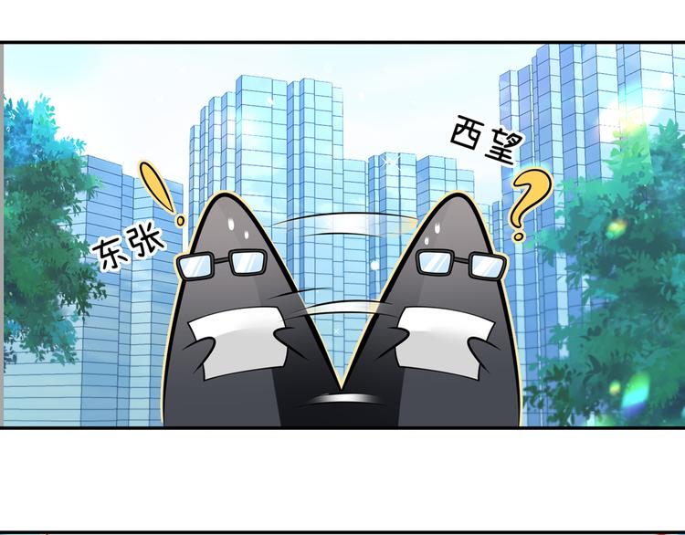 28.乘风的翅膀被折断51