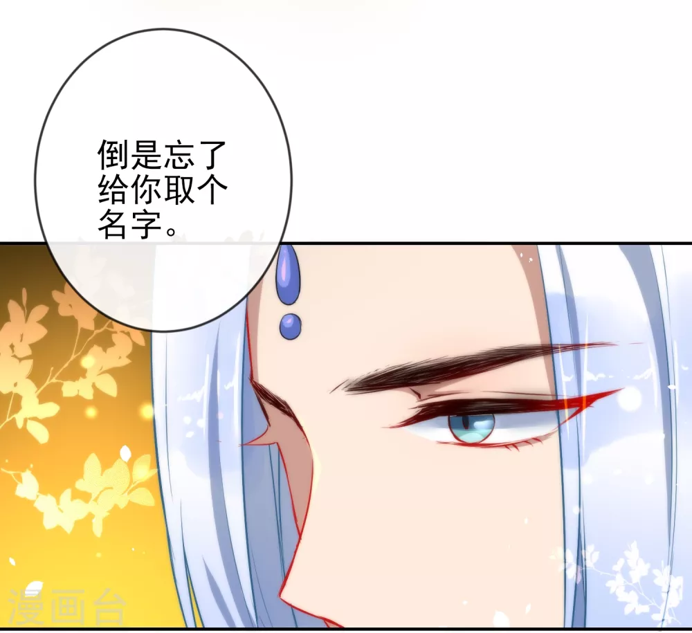 第6话 倾国之选14