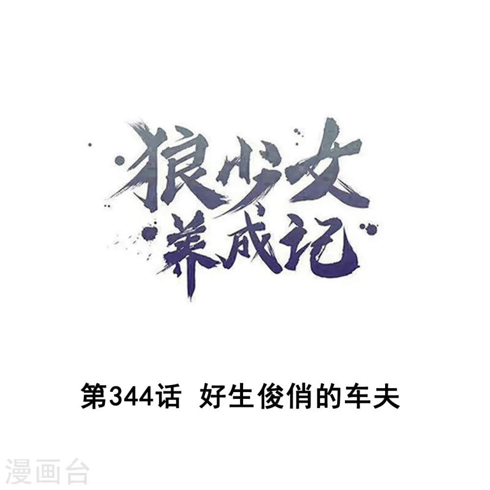 第344话 好生俊俏的车夫0