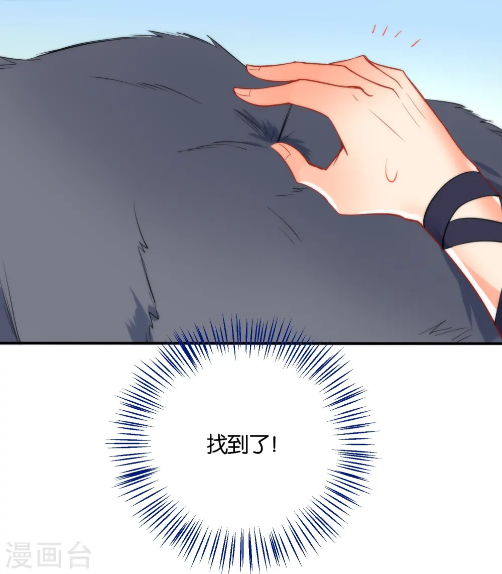 第45话 这个美人我要了！18