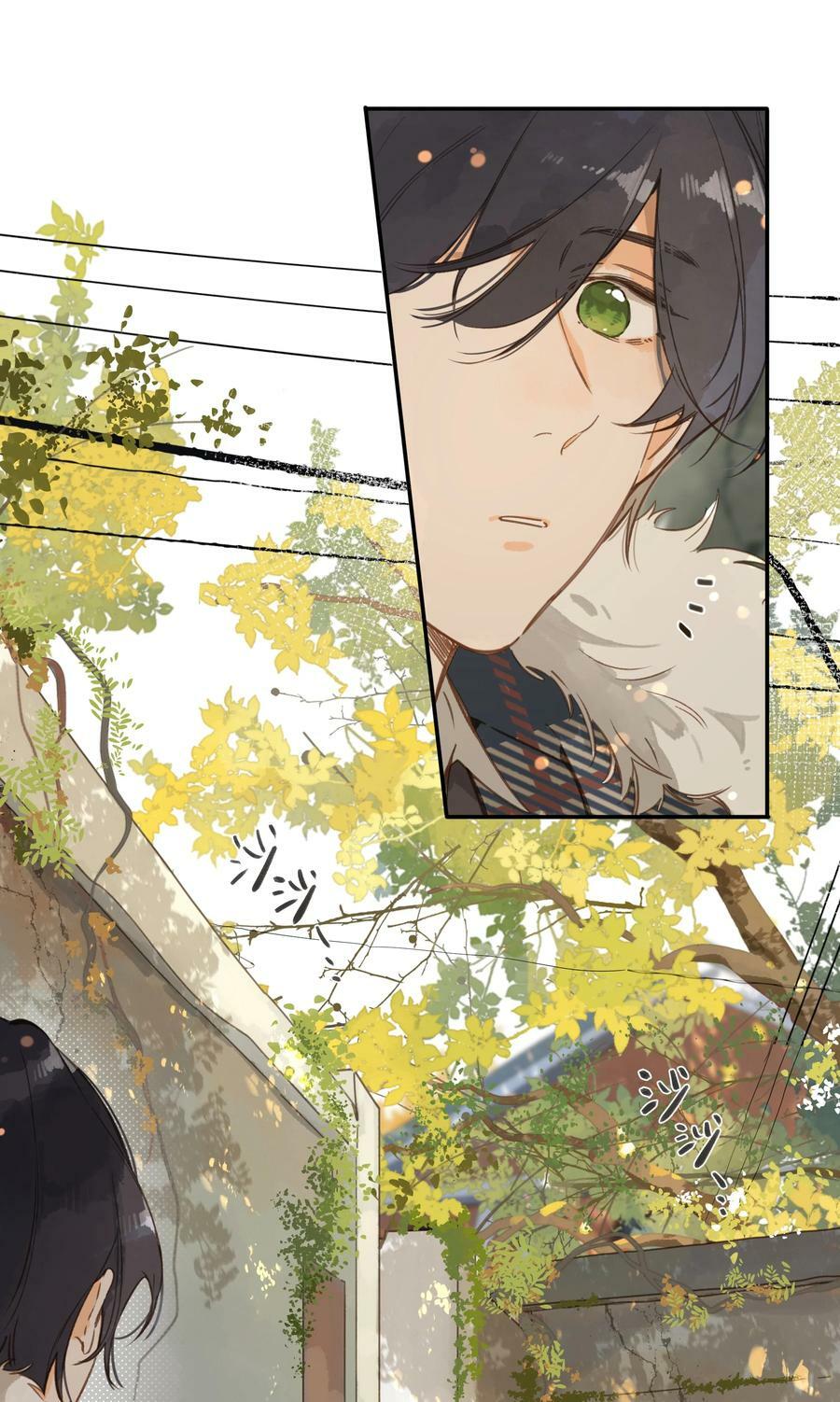 第65话 藏在温室里的怀念8