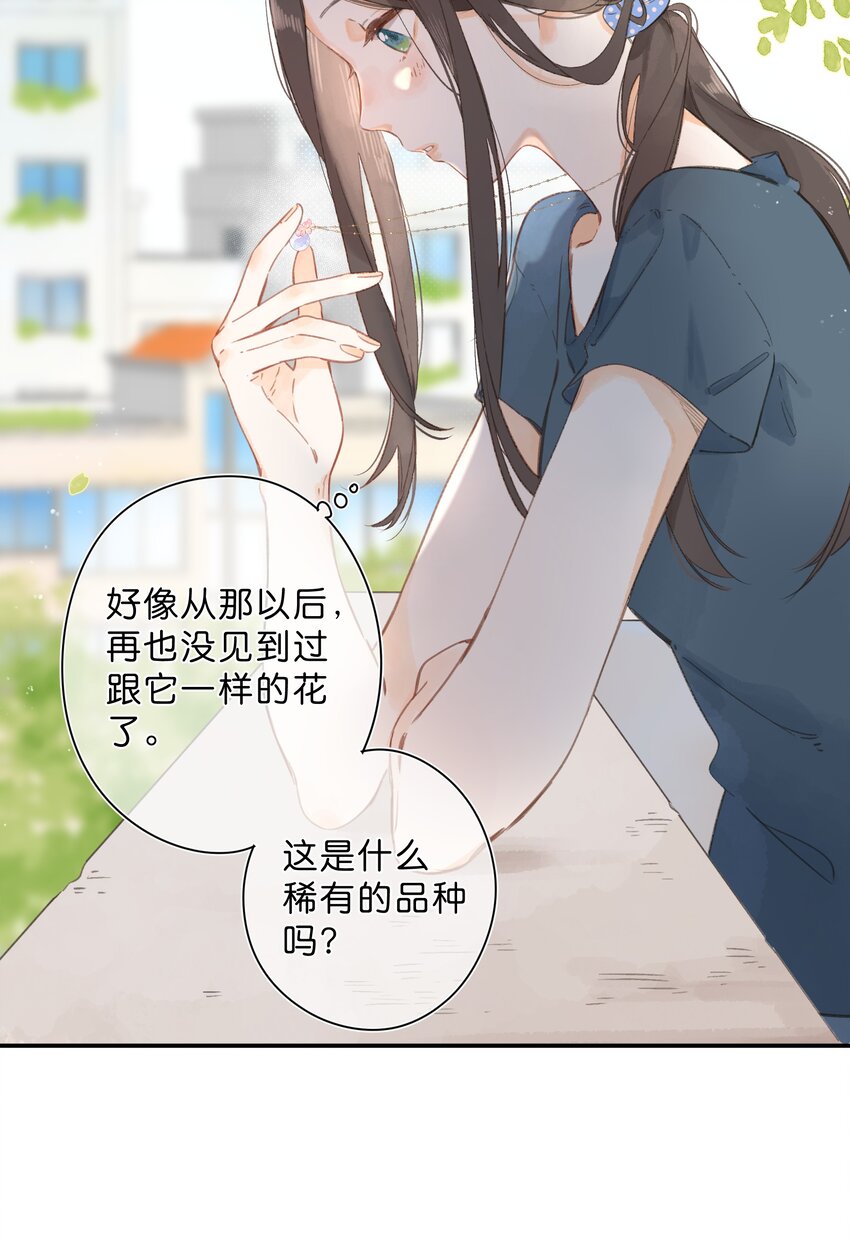 第1话 花的初见19