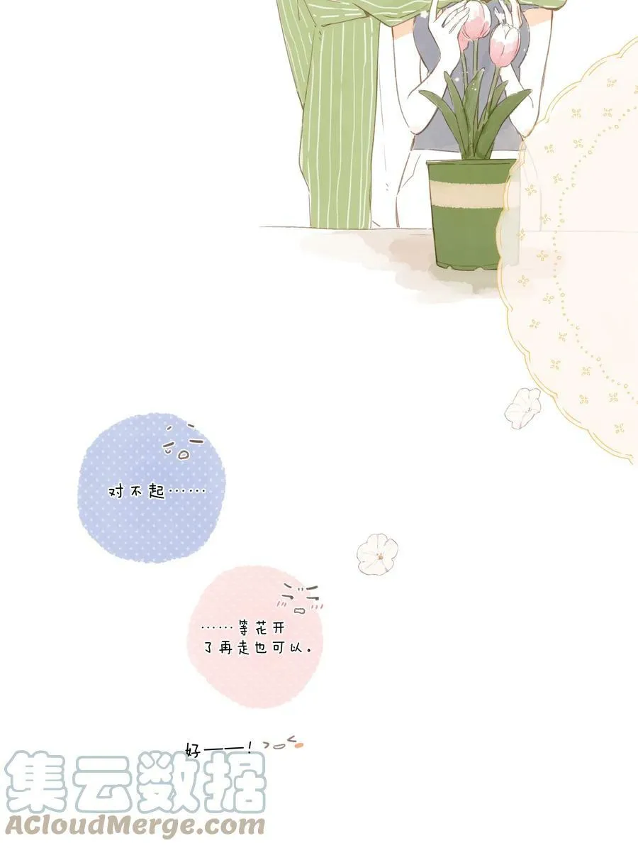 延更公告 12月19日更新4