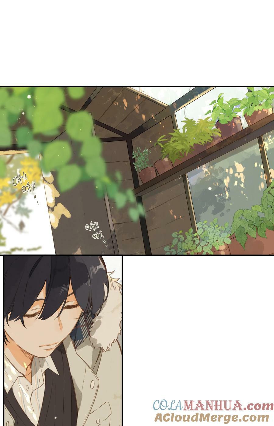 第65话 藏在温室里的怀念48