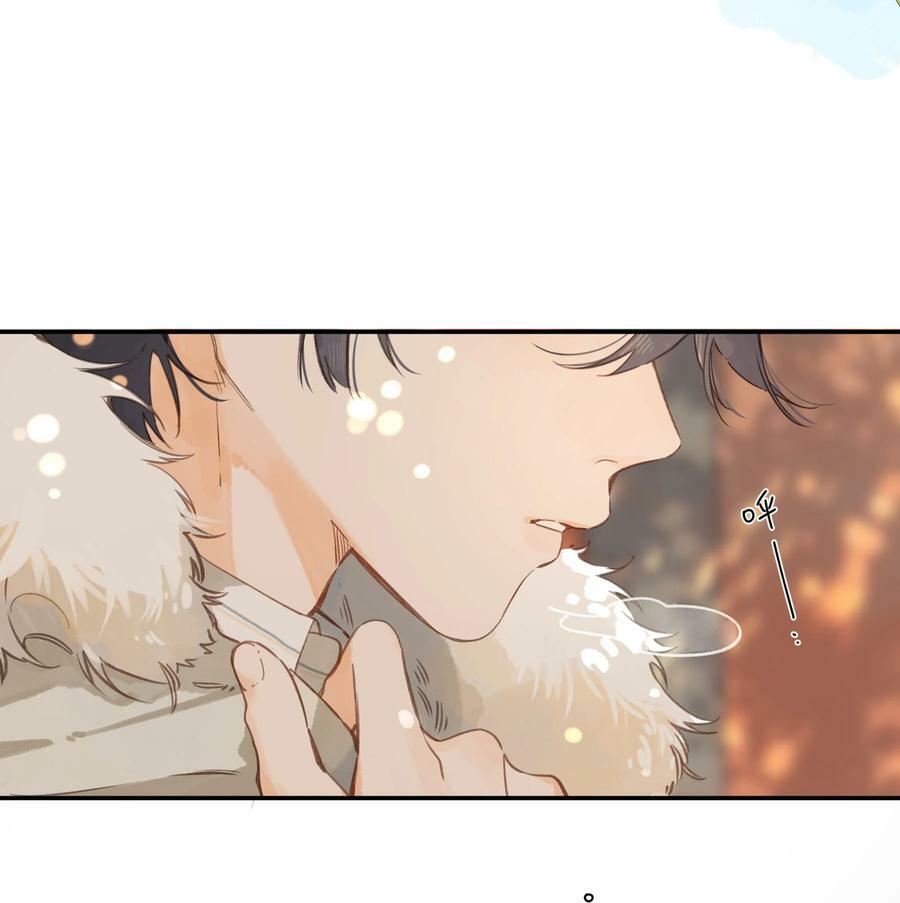 第65话 藏在温室里的怀念5