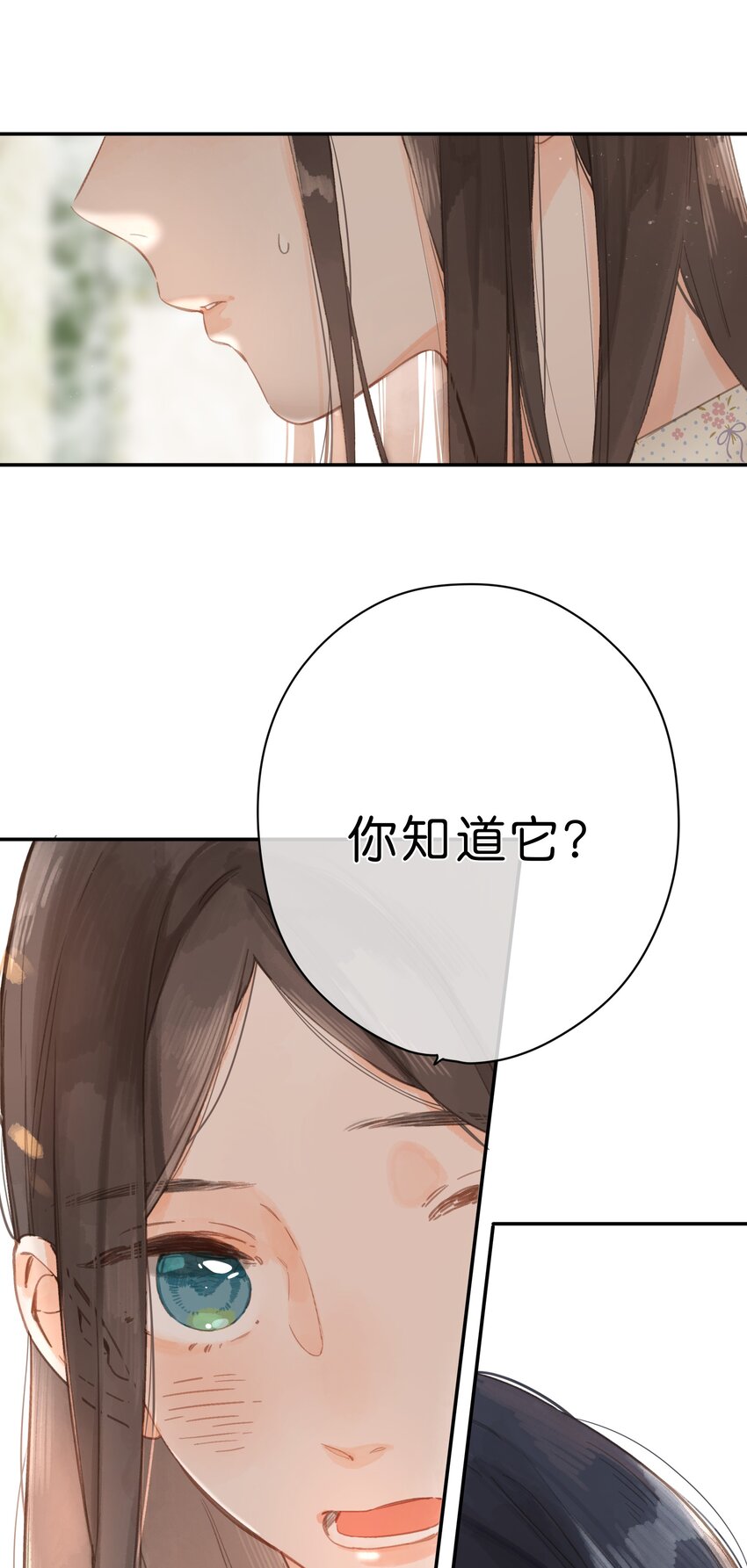 第8话 挂坠里的花瓣37