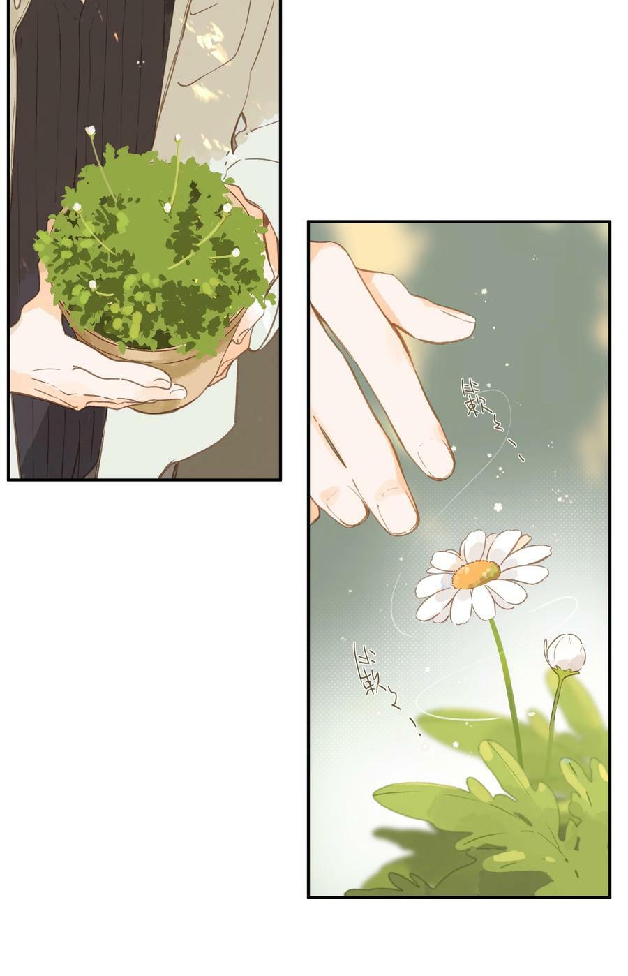 第65话 藏在温室里的怀念49