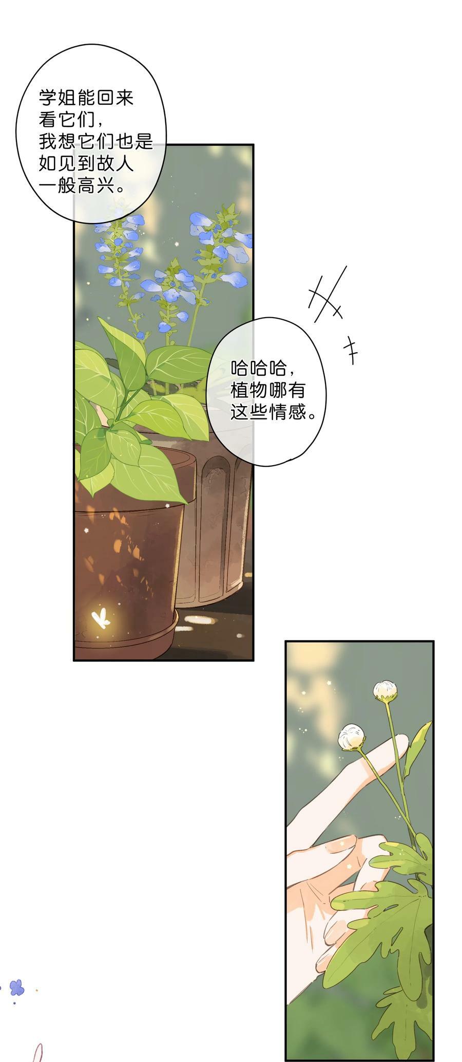 第65话 藏在温室里的怀念28