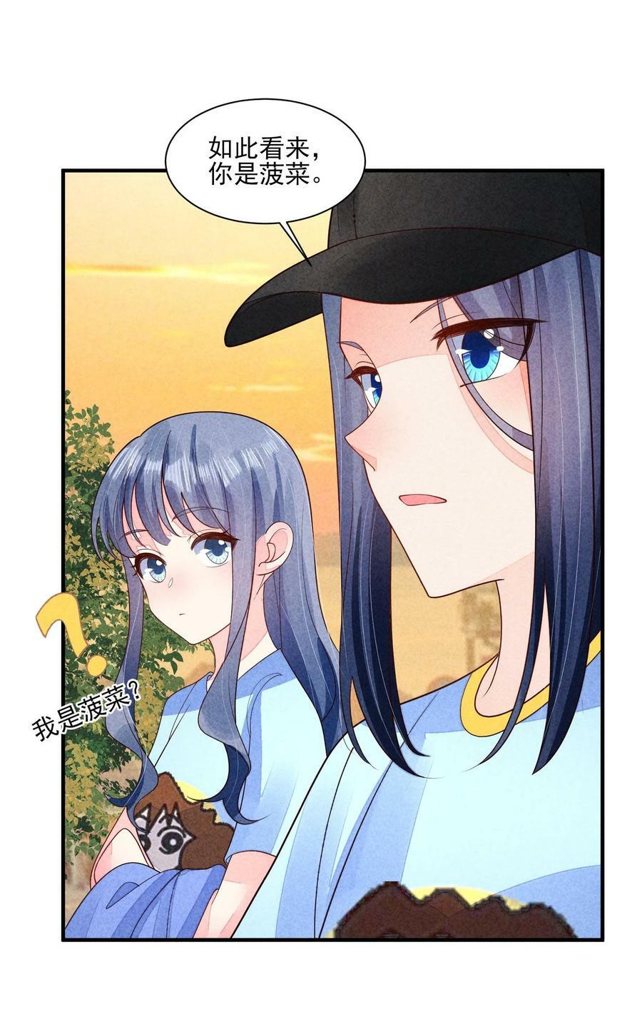 121 菠菜33