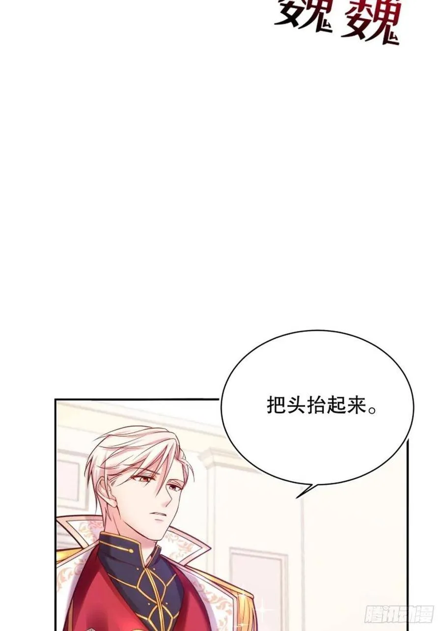 3-质子维狄19