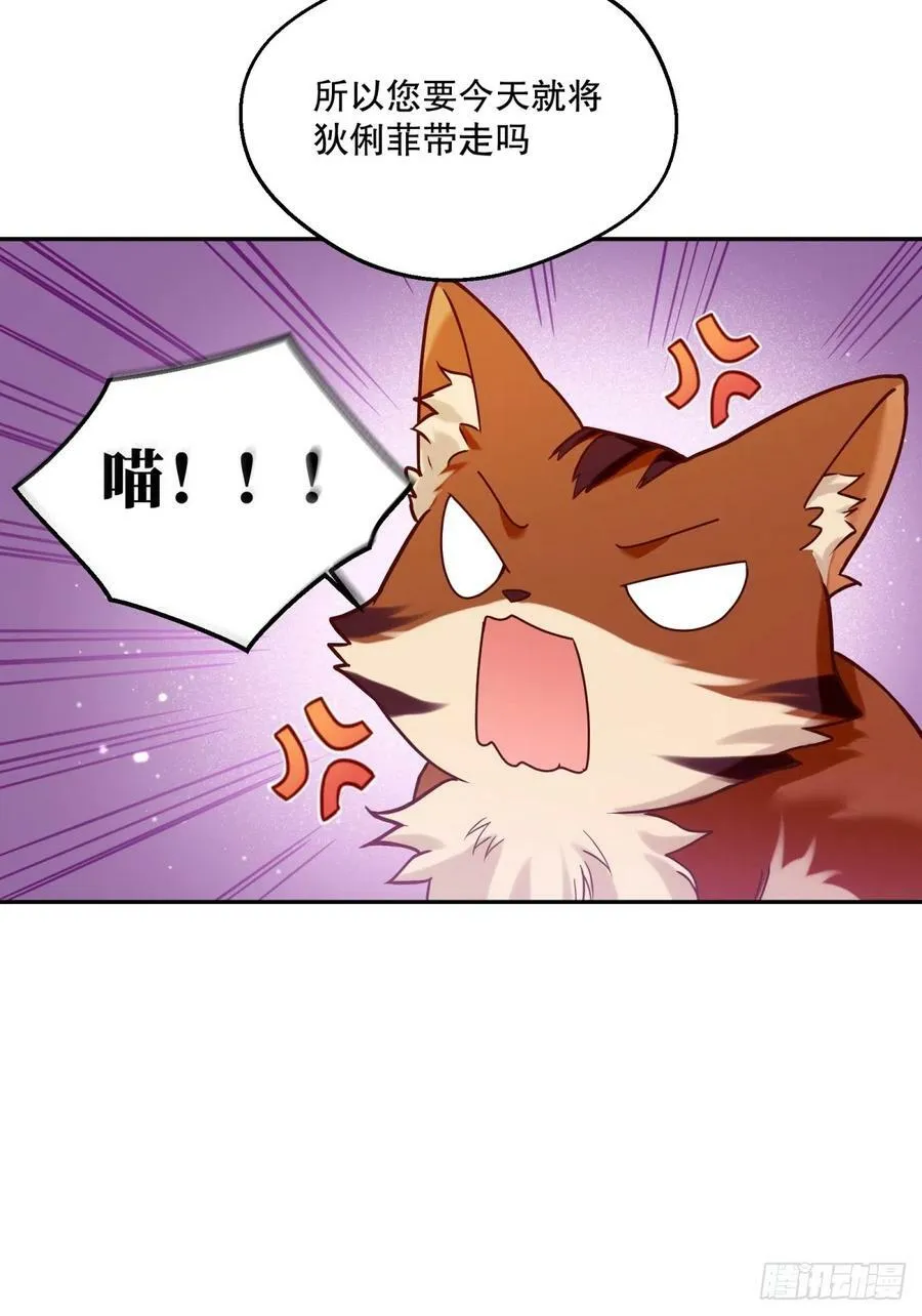 135-请收留可爱修猫9