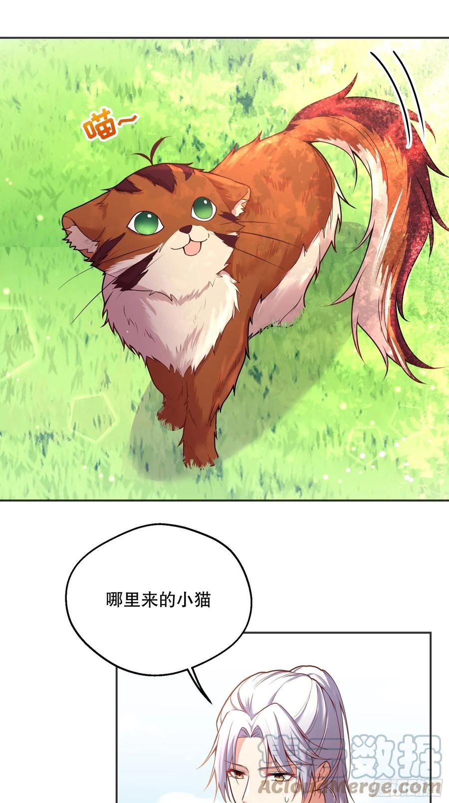 91-没有人可以拒绝阿法洛22