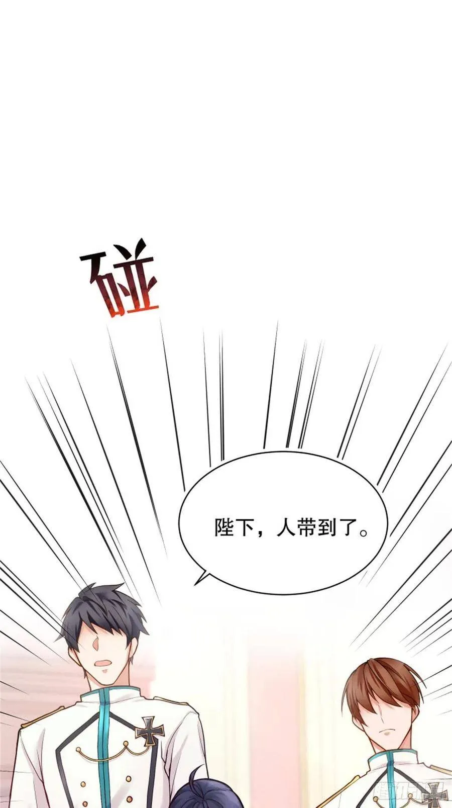 3-质子维狄13